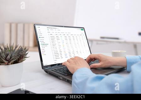 Spreadsheet style business software displayed on laptop in bright workspace, featuring marketing analytics tables, campaign metrics and productivity f Stock Photo