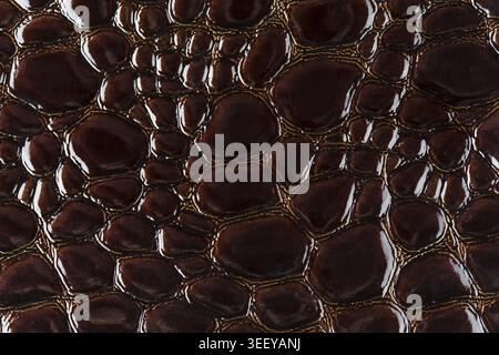 Brown snake skin detailed texture background Stock Photo