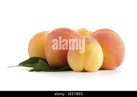 Sweet peaches with leafs on a white background Stock Photo