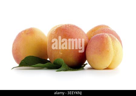 Sweet peaches with leafs on a white background Stock Photo