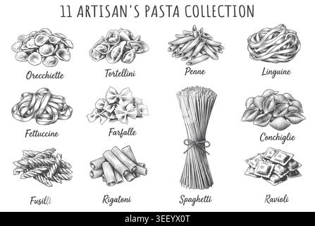 A comprehensive set of eleven hand-drawn traditional Italian pasta shapes in a detailed classical engraving style. Perfect for Italian restaurant menu Stock Vector