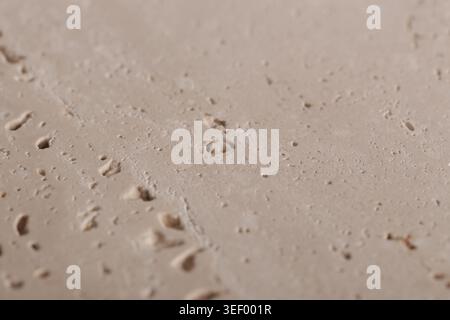 Natural travertine stone background, close up Stock Photo