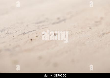 Natural travertine stone background, close up Stock Photo