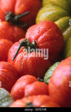 Close up of red heirloom tomatoes with water droplets on dark background. Fresh organic produce texture, natural farm harvest Stock Photo