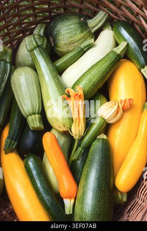 Assorted zucchini in basket, fresh organic vegetables, rustic harvest concept. Green and yellow squash close-up, natural texture, healthy produce Stock Photo