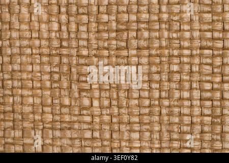 Bamboo texture background bound together in a pattern Stock Photo