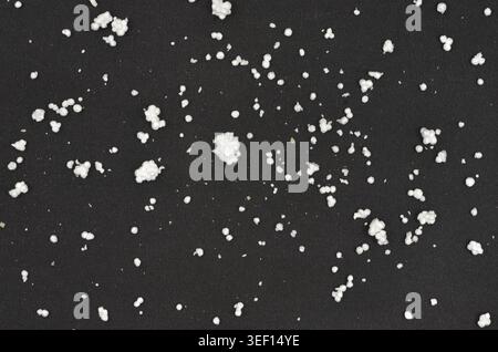 Styrofoam is very dangerous because it is not biodegradable. If left in the ground and contaminates it for centuries. It that does not decompose. Stock Photo