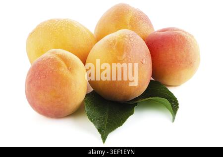 Sweet peaches with leafs on a white background Stock Photo