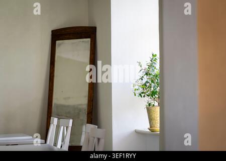 Minimalist interior with a vintage standing mirror, white chairs, and a potted green ficus plant in soft natural daylight. Stock Photo