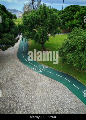 A paved path in the park near the sea. A walking and cycling trail through the trees. Stock Photo