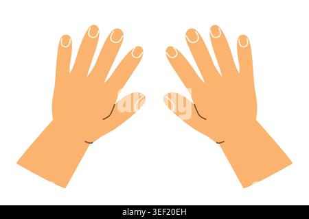 two hands top view, human palms seen from above  - vector illustration Stock Vector