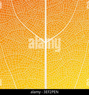 Leaf vein texture abstract background with close up plant leaf cells ornament texture pattern. Stock Vector
