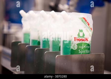 Refill-Revolution Frosch Nachfuellbeutel als Vorreiter im Haushaltsbereich Symbolbild - Mehrere befuellte Nachfuellbeutel des Frosch Glas-Reinigers Spiritus stehen aufgereiht auf einer Foerderanlage. Der gruene Standbodenbeutel mit Ausgiesstulle ist als Vorteilspack konzipiert. Symbolbild fuer den wachsenden Markt an Nachfuellverpackungen als Alternative zur herkoemlichen Plastikflasche sowie den Trend zur Reduzierung von Einwegplastik im Haushalt. Steht sinnbildlich fuer die Bemühungen der Konsumgueterindustrie, Plastikverbauch durch Refill-Loesungen deutlich zu senken. Deutschland *** Refill Stock Photo