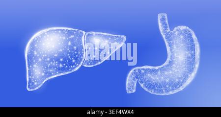 Human liver and stomach. Wireframe low poly style. Concept for medical, treatment of the hepatitis, of the digestive system. Abstract modern 3d vector Stock Vector