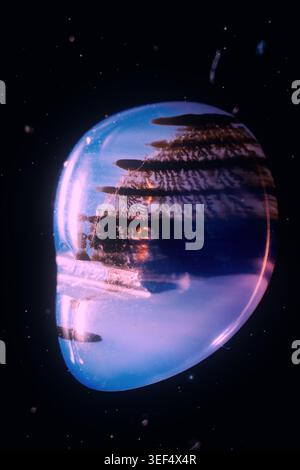 Cosmic alien planet concept: macro of a blue-purple translucent gemstone with dendrite patterns in space. Stock Photo