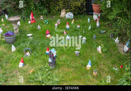 Garden gnomes in grass lawn garden of house, Pewsey, Wiltshire, England, UK Stock Photo
