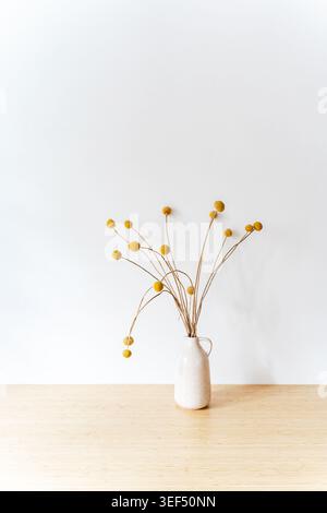 Dried craspedia flowers in a small white vase on a wooden surface, minimalist botanical still life with yellow blooms and copy space. Front view Stock Photo