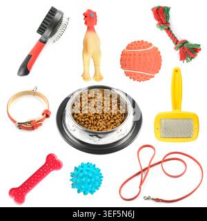 Accessories and toys for dogs and cats isolated on white background. Stock Photo