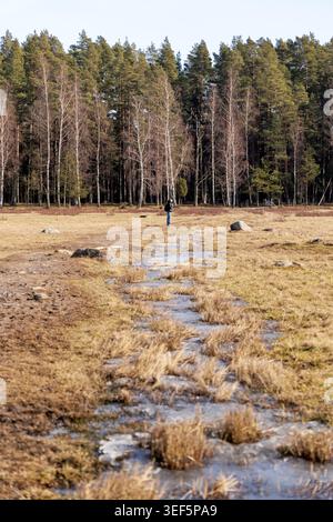 A person with a backpack walks along a dirt path beside a frozen stream in a wide coastal meadow bordering a pine forest. Stock Photo