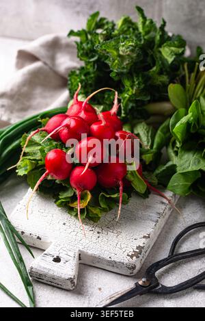 Radish, onion and herbs, spring greens concept Stock Photo