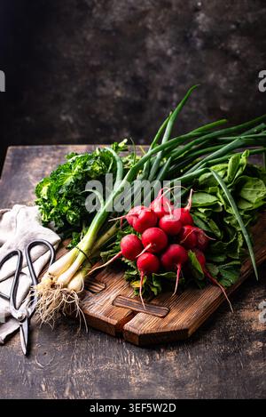 Radish, onion and herbs, spring greens concept Stock Photo