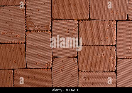 Top down flat lay textured chocolate biscuits arranged in seamless rectangular grid pattern Stock Photo