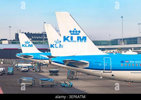 Row of KLM Royal Dutch Airlines tails at the terminal gate with baggage carts and Schiphol sign in Amsterdam Stock Photo