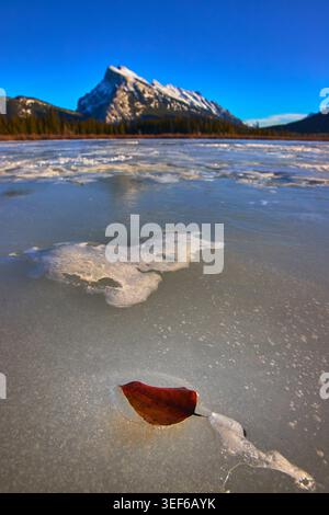 Frozen Leaf on Ice with Snow Capped Mountain and Winter Forest in Bright Sunlight Stock Photo