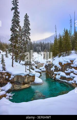 Snow Covered Pines and Turquoise River Flowing Through Winter Canyon Scenery Stock Photo