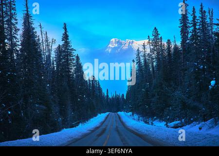 Winter Road Through Pine Forest and Snowcapped Mountain in Blue Hour Perspective Stock Photo