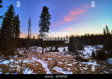 Winter Forest Trail at Sunset with Snow and Evergreen Trees in Tranquil Wilderness Stock Photo