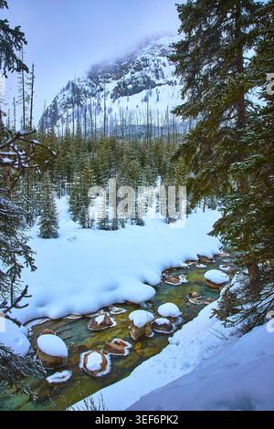 Snow Covered River Flowing Through Evergreen Forest With Mountain Backdrop Winter Stock Photo