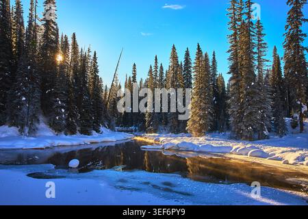 Snow Covered Pine Forest With Sunburst And Frozen River In Winter Stock Photo