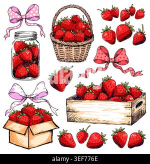 Hand Drawn Strawberry Illustration Set Stock Vector