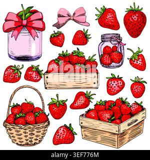 Hand Drawn Strawberry Illustration Set Stock Vector