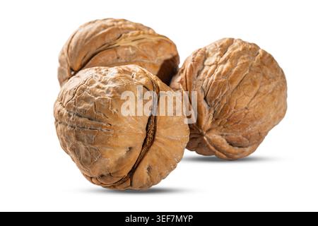 Three walnuts in shell, close-up studio shot isolated on white background, cutout style Stock Photo