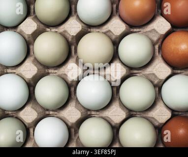 Organic chicken eggs in cartons tray. Flat lay Stock Photo