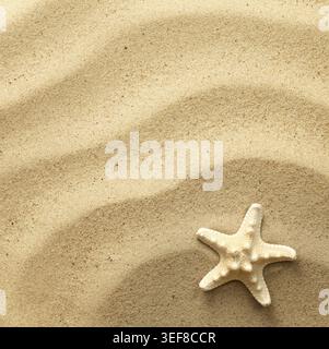 Starfish on wavy sand background. View from above. Flat lay Stock Photo