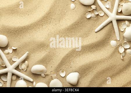 Starfishes, stones and seashells on sand background. Flat lay. Top view Stock Photo