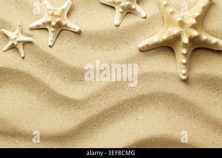 Starfishes on sand background. Top view. Flat lay Stock Photo