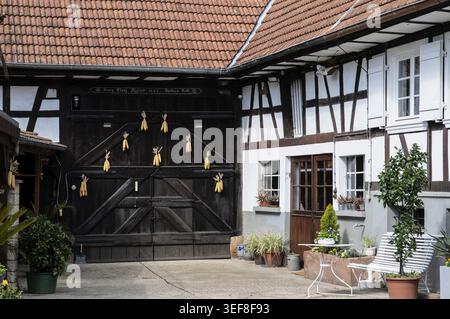 Courtyard of a traditional farmhouse and dark wood gate with suspended corn cobs and the facade of a typical white plastered half-timbered house with Stock Photo