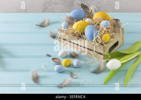 Easter blue and white eggs in wooden box and white tulips Stock Photo
