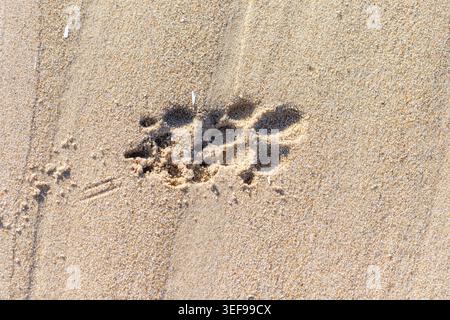Mesmerizing macro photography of geometric sand patterns creating abstract compositions with natural mathematical precision. Perfect for pattern desig Stock Photo