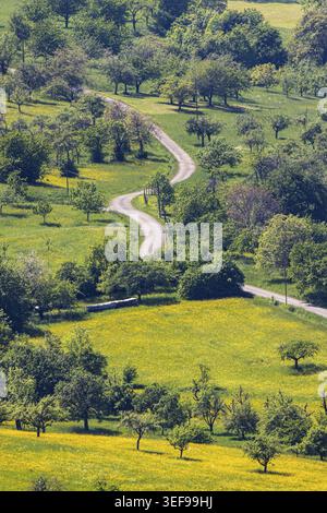 Spring in the Swabian Jura. Orchards on the Albtrauf near Neuffen. Neuffen, Baden-Wuerttemberg, Germany Stock Photo