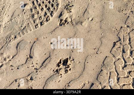 Stunning macro close-up of undulating sand wave formations on beach, capturing the sculptural beauty of wind and water-shaped textures. Dynamic compos Stock Photo