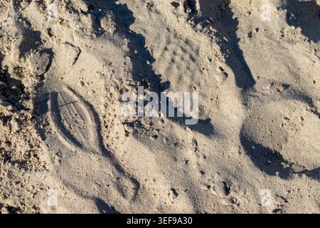 Intricate macro photography of sand wave and ripple patterns created by water and wind on beach surface. Captures the mesmerizing organic geometry of Stock Photo
