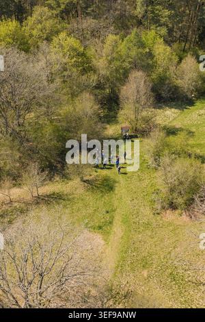 A group of people in the forest, surrounded by trees and green grass, in a spring landscape, Naturfuehrung Heckengaeu, Aidlingen, Boeblingen district Stock Photo