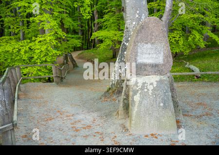 Historic stone marker along forest hiking trail in Jasmund National Park on Rugen island, Germany Stock Photo