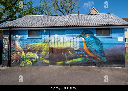 Colourful wall mural or public art on a toilet block in Amesbury, Wiltshire, England, UK. Painting of a kingfisher bird Stock Photo