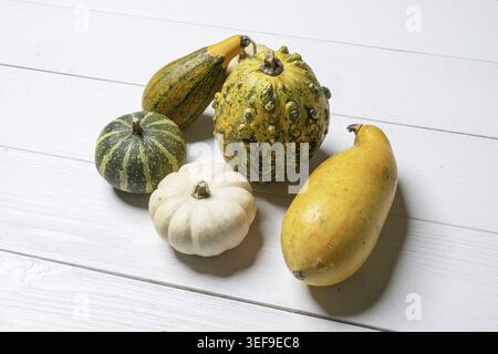 Some colorful pumpkins on a white wooden table Stock Photo